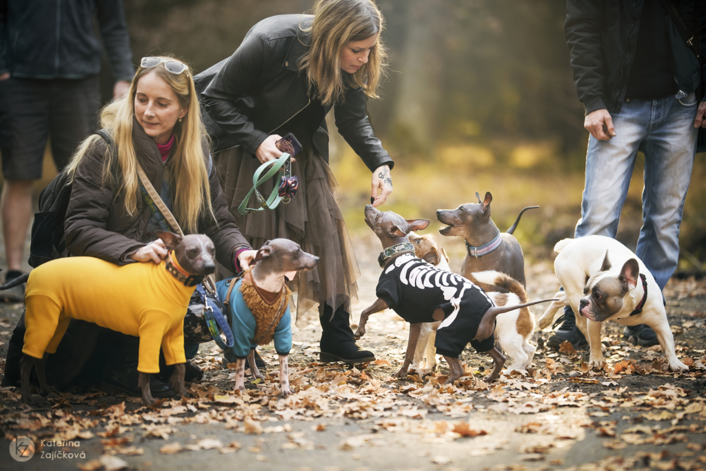 halloweenská procházka 2021