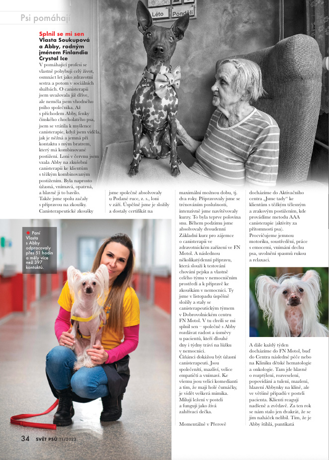 caniterapie Renata Horová I love naked psí naháči a bezsrstá plemena psů