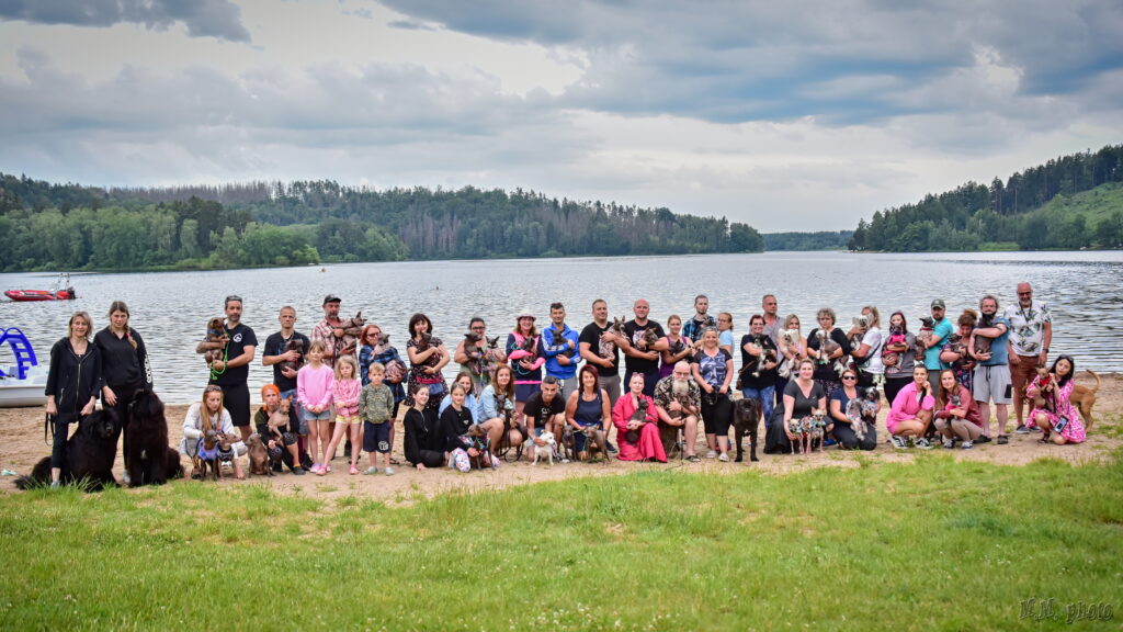 víkend bezsrstých plemen psů, víkend naháčů, i love naked, dog on paddleboard, ralye obedience, ralye obedience marek remeš