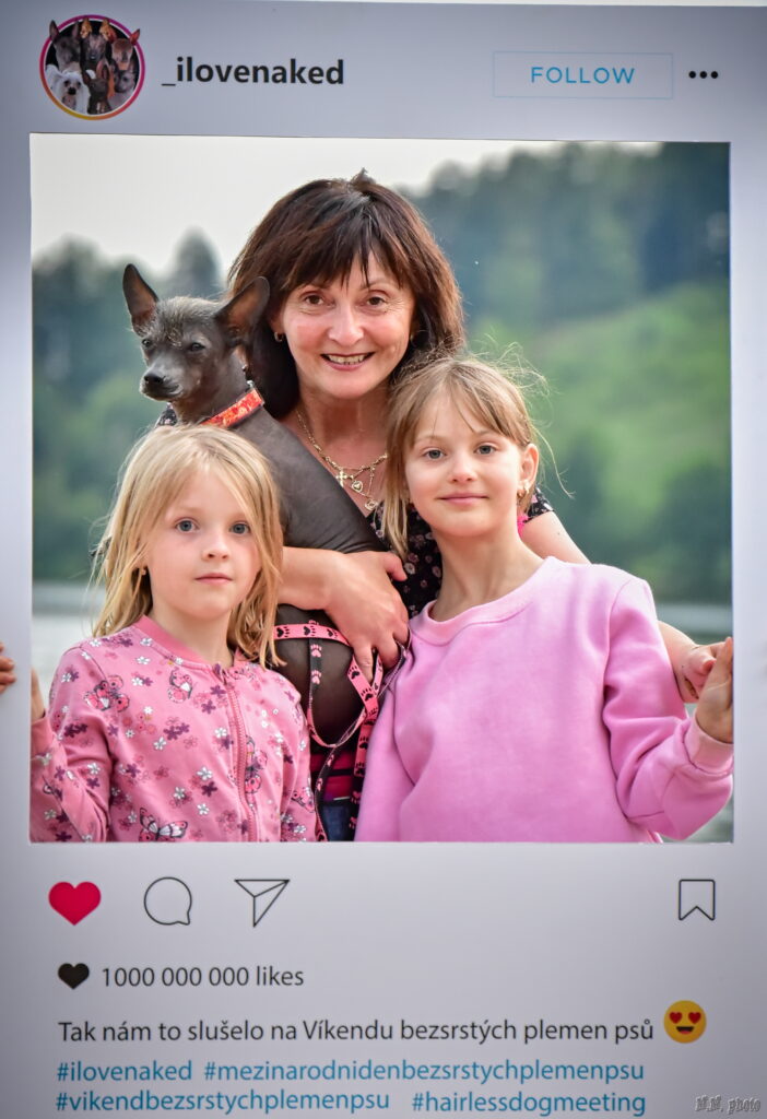 víkend bezsrstých plemen psů, víkend naháčů, i love naked, dog on paddleboard, ralye obedience, ralye obedience marek remeš