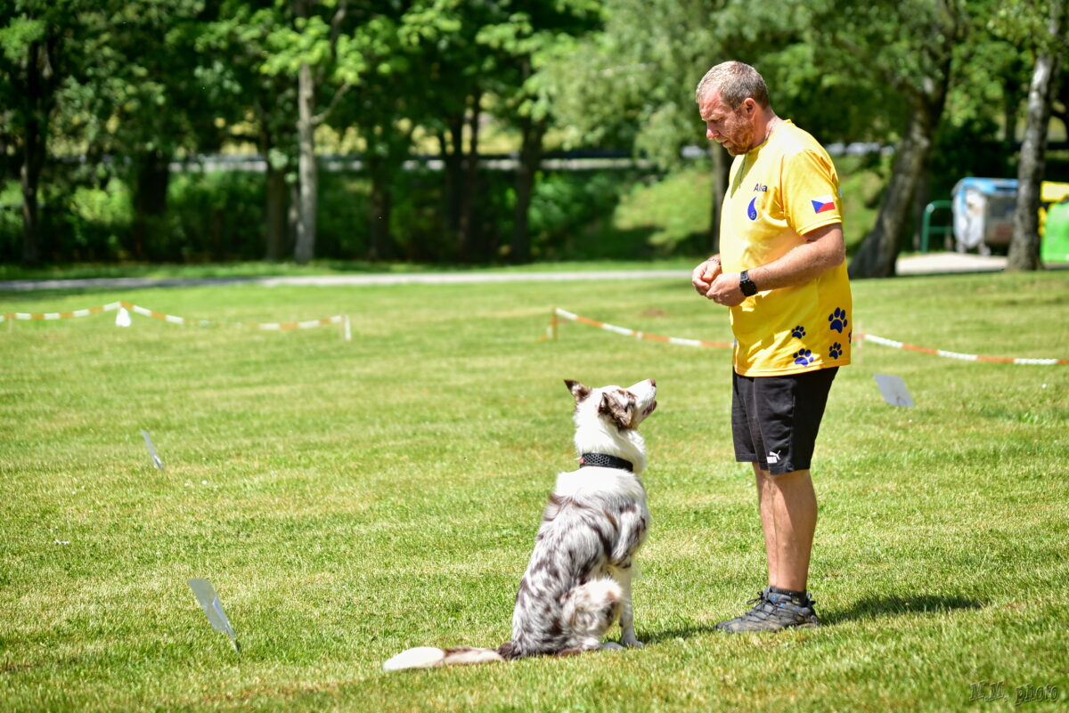 víkend bezsrstých plemen psů, víkend naháčů, i love naked, dog on paddleboard, ralye obedience, ralye obedience marek remeš