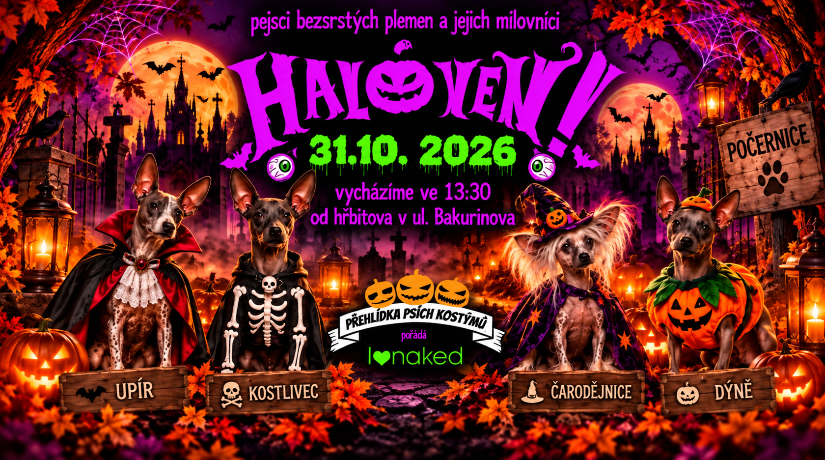 Haló ven! I love naked Procházky bezsrstých plemen psů Sraz naháčů Halloweenská procházka